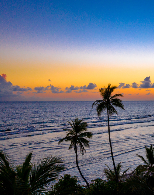 SOTAB HEBAT INDONESIA 18