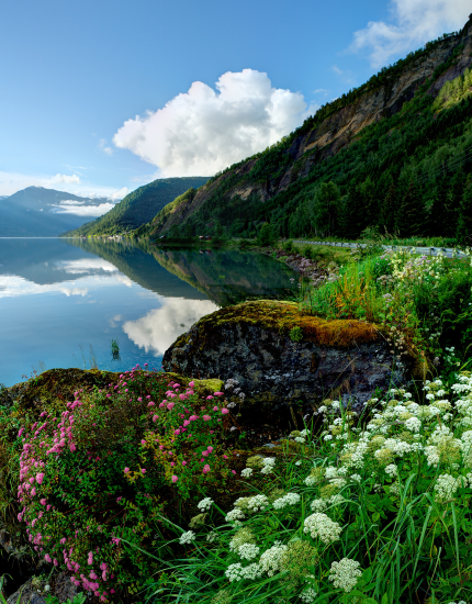 SOTAB HEBAT INDONESIA 16